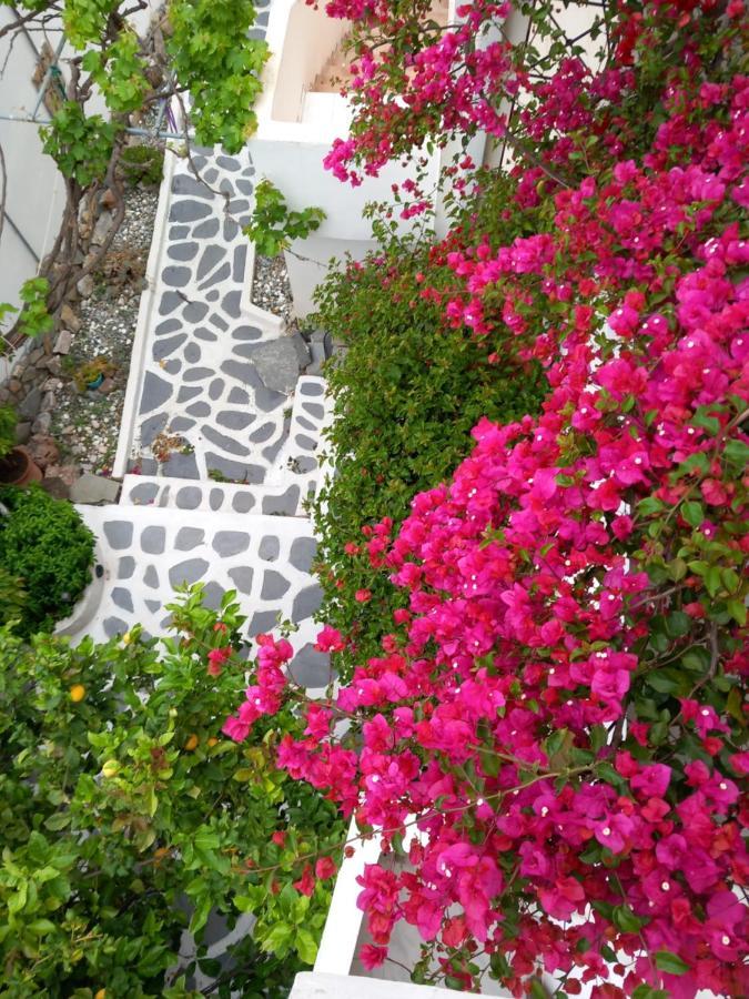 Studio In Garden Poros Town Exterior foto