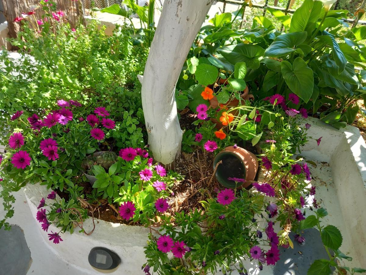 Studio In Garden Poros Town Exterior foto